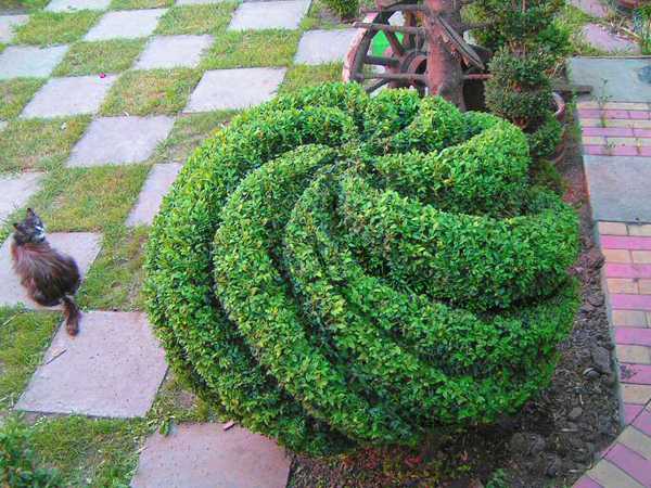 globe topiary design