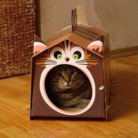 made of cardboard cat gouse with cat image