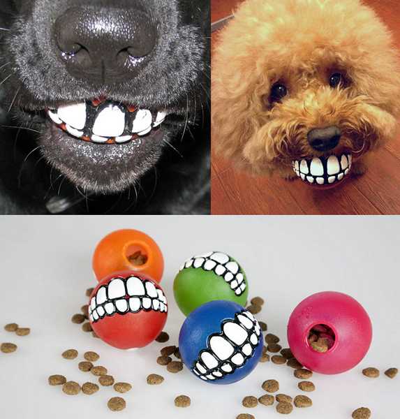 smile dog ball