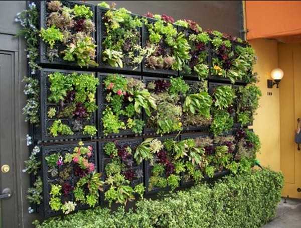 vertical garden, wall design ideas