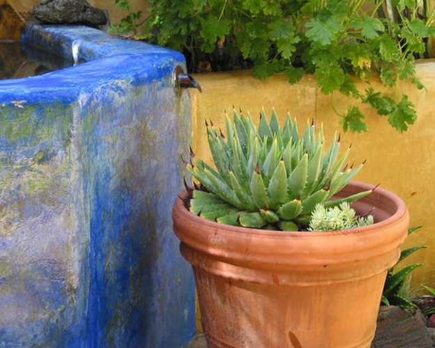 mexican style garden designs and yard landscaping ideas