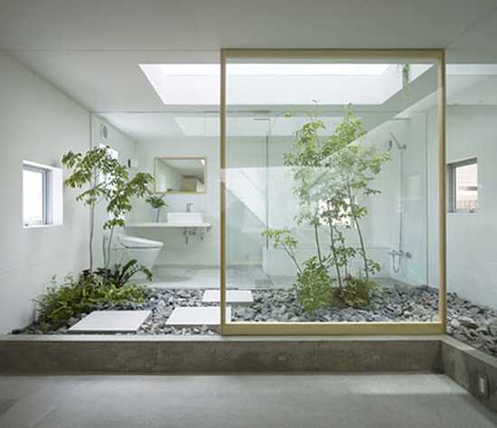 contemporary bathroom design with flass wall and indoor garden with plants and rocks