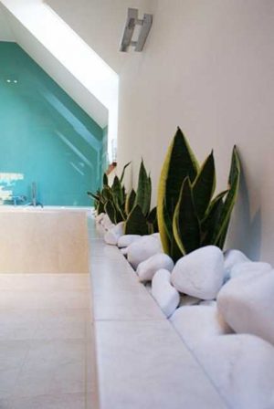30 Green Ideas for Modern Bathroom Decorating with Plants