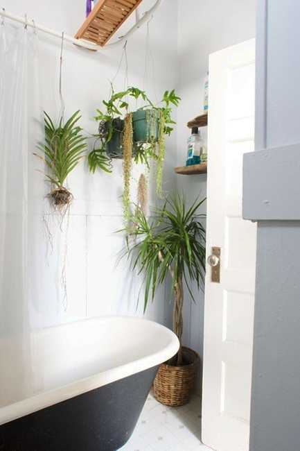 30 Green Ideas for Modern  Bathroom Decorating  with Plants 