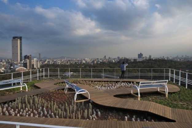 rooftop garden design in mexico