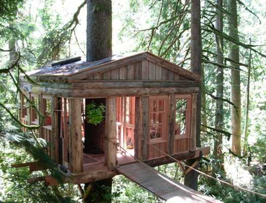 tree house with large windows