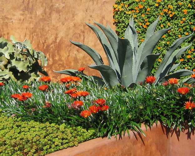 yard landscaping ideas spanish style 4