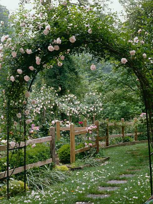 25 Beautiful Backyard Landscaping Ideas and Gorgeous ...