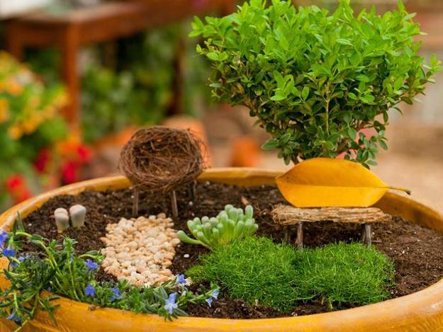 miniature garden designs and fairy gardens