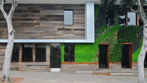 salvaged wood and green wall design