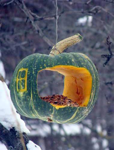 handmade bird feeder design ideas crafts kids adults 7