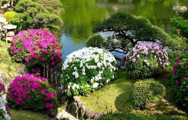 Beautiful Japanese Garden Design, Landscaping Ideas for ...