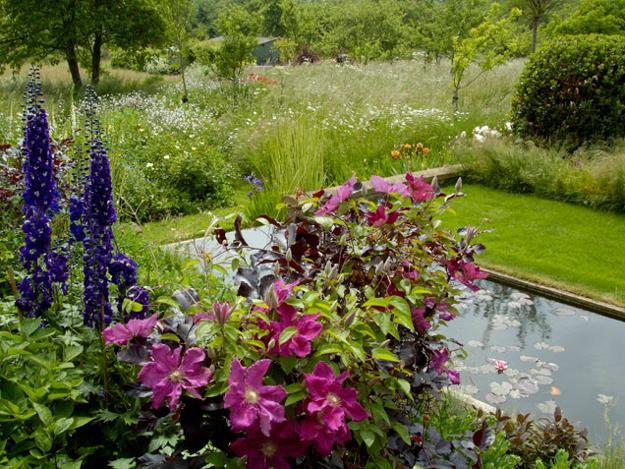 small pond and flowers for backyard design