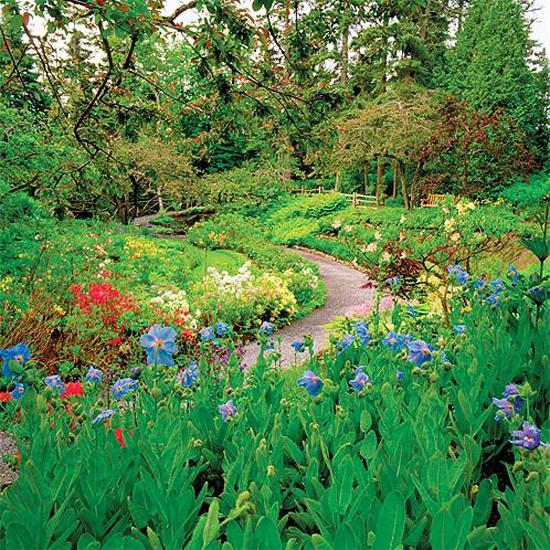 natural garden designs backyard landscaping ideas 15