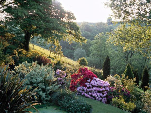 Natural Backyard Landscaping Ideas, Save Money Creating Wildlife