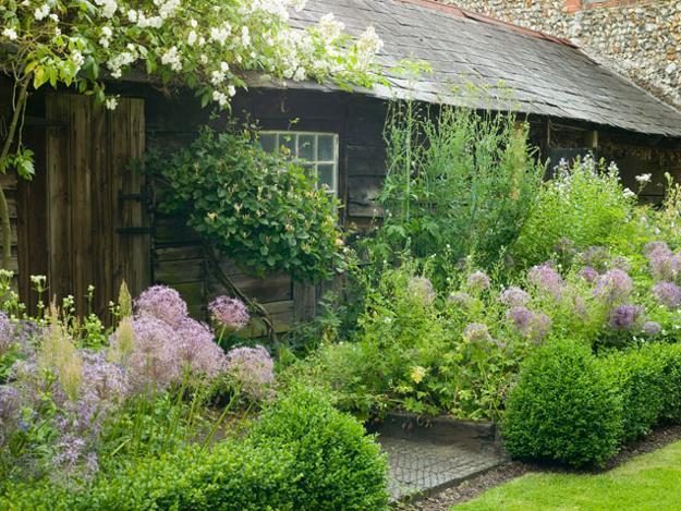 Luxury garden shed