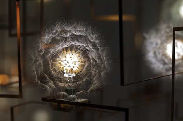 modern lighting fixture that looks like dandelion