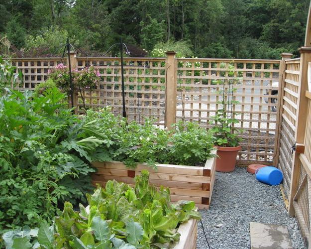 20 raised bed garden designs and beautiful backyard