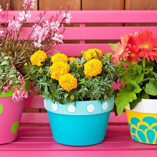 outdoor home decorating with flowers and plants