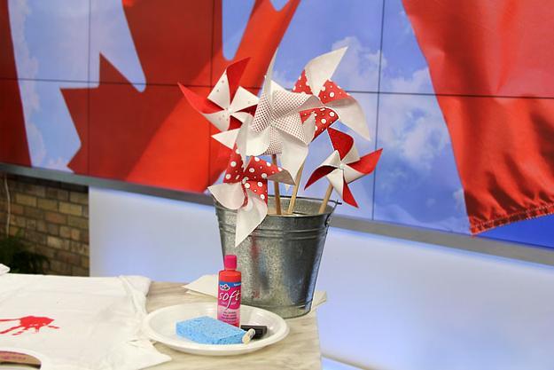 33 Canada  Day Party Decorations and Ideas  for Outdoor Home  
