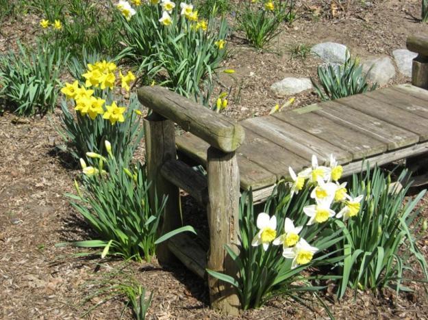 Handmade Garden Benches Adding Rustic Vibe To Backyard Designs