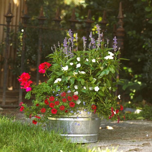 white and red colors for patriotic decoration