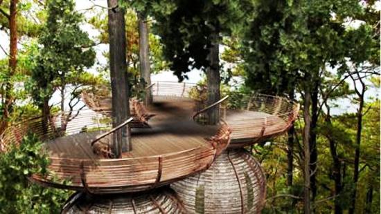 treehouse tree perch wooden deck ideas backyard designs 18