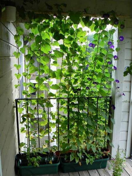 33 Small Balcony Designs and Beautiful Ideas for Decorating Outdoor