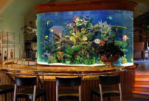 personalized fish tank decorations