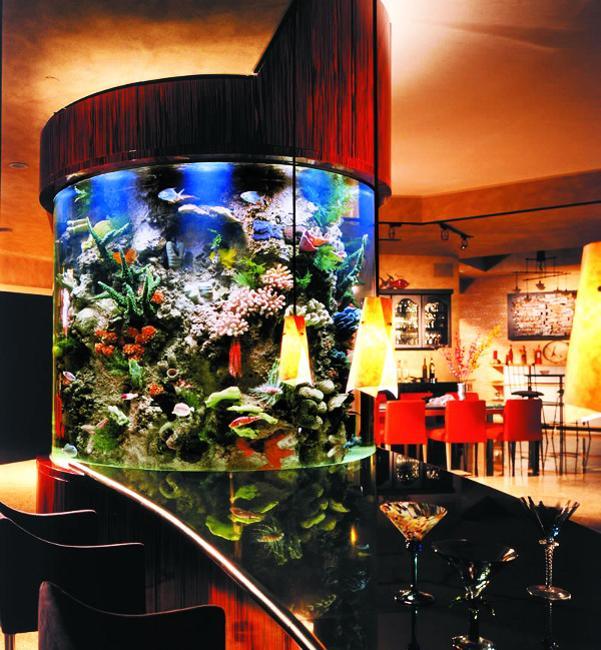 35 Unusual Aquariums and Custom Tropical Fish Tanks for 35 Unusual Aquariums and Custom Tropical Fish Tanks for