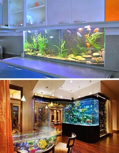 35 Unusual Aquariums and Custom Tropical Fish  Tanks for 