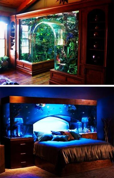 Fish Tank Headboard