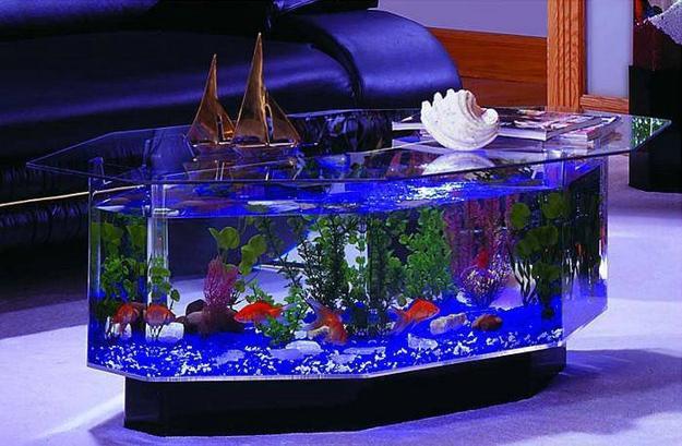 interior design with glass fish tanks