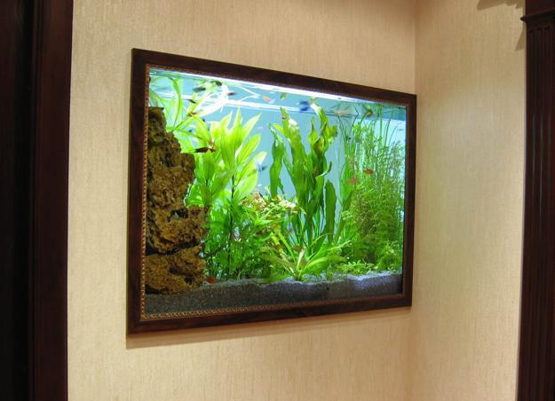 Spectacular Aquariums Personalizing Interior Design With