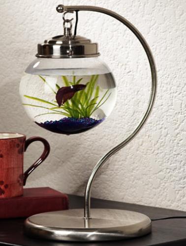 Spectacular Aquariums Personalizing Interior Design With