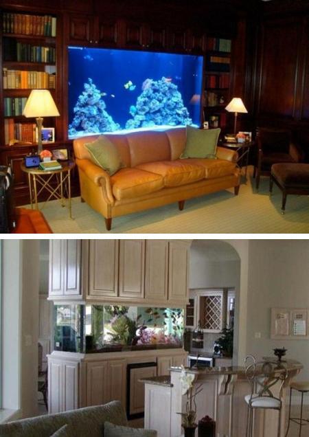 Spectacular Aquariums Personalizing Interior Design With