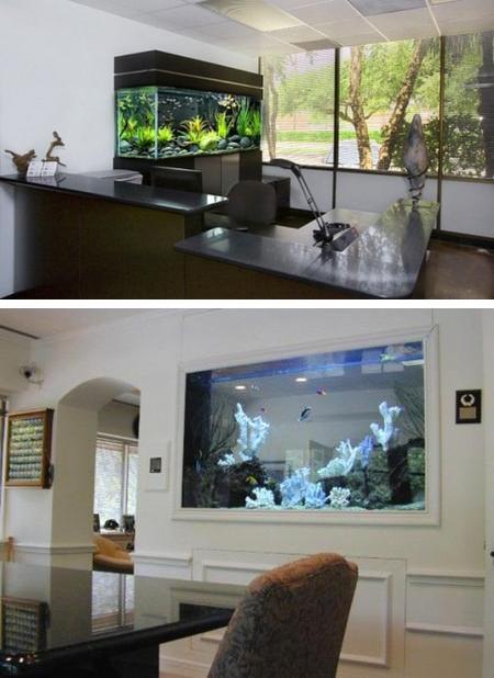 Spectacular Aquariums, Personalizing Interior Design with Colorful
