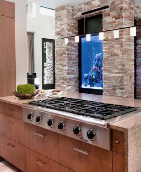 Spectacular Aquariums Personalizing Interior Design With