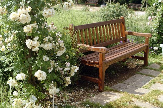 wooden bench for garden design and backyard landscaping