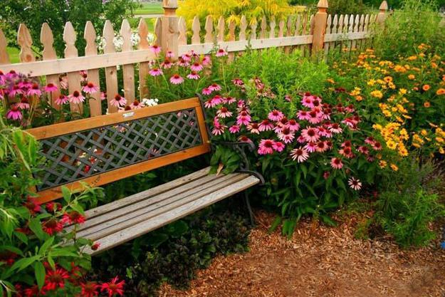 Image result for Garden with flowers and bench