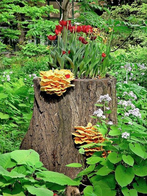 recycling tree stump for planter and decorating with flowers