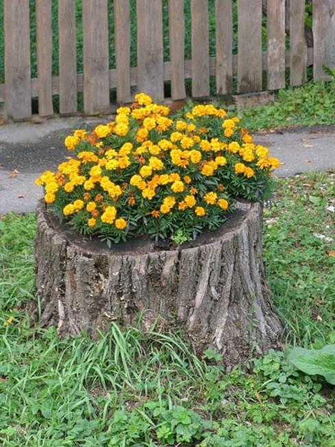 Recycling Tree Stumps for Yard Decorations to Remove Tree 