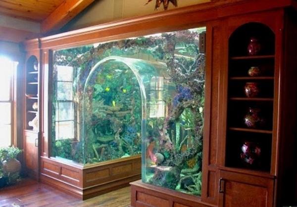 Unusual Built  In Aquariums Adding Beautiful Green Ideas to 