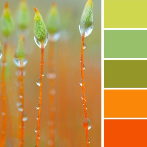 33 Orange Color Schemes Inspiring Ideas For Modern Interior