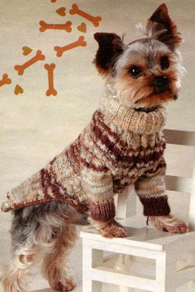30 Knitted Hats and Sweaters for Cats and Dogs, Modern Pet Design Ideas