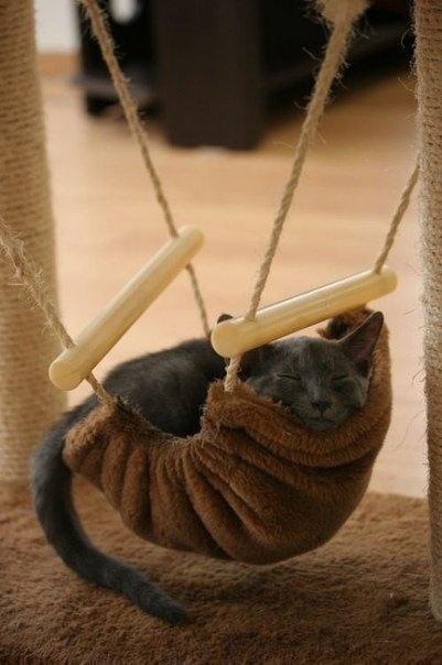 cat hammock, modern cat furniture