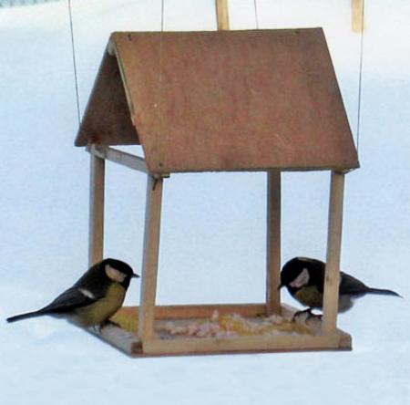 15 Simple Design Ideas for Easy to Make Bird Feeders