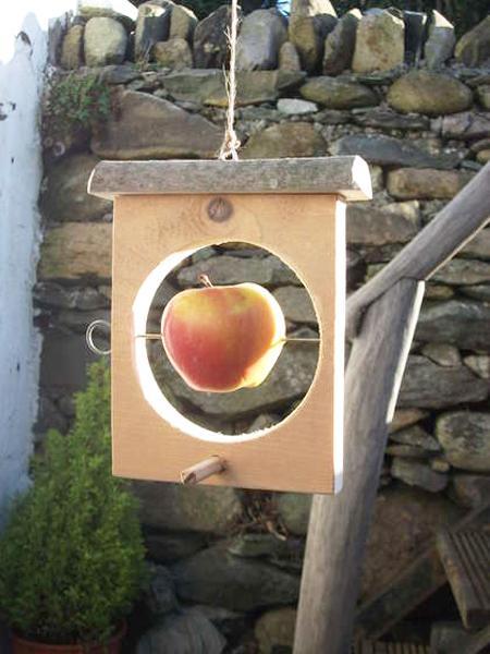 Simple bird feeder design with a clip