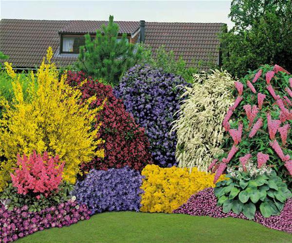 yard landscaping and backyard designs with flower beds