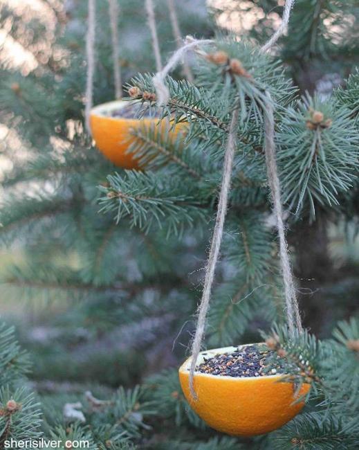 recycling craft ideas for bird feeder designs